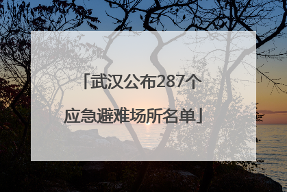 武汉公布287个应急避难场所名单
