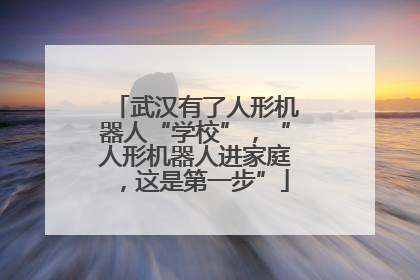 武汉有了人形机器人“学校”，“人形机器人进家庭，这是第一步”