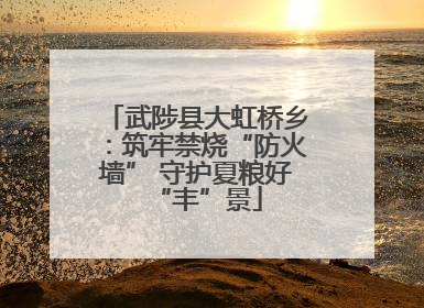 武陟县大虹桥乡：筑牢禁烧“防火墙” 守护夏粮好“丰”景