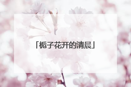 栀子花开的清晨