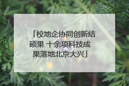 校地企协同创新结硕果 十余项科技成果落地北京大兴