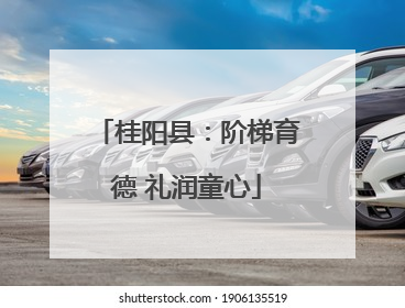 桂阳县：阶梯育德 礼润童心