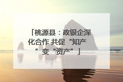 桃源县：政银企深化合作 共促“知产”变“资产”