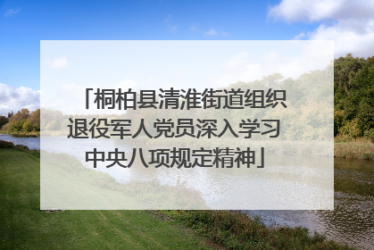 桐柏县清淮街道组织退役军人党员深入学习中央八项规定精神