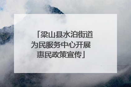 梁山县水泊街道为民服务中心开展惠民政策宣传