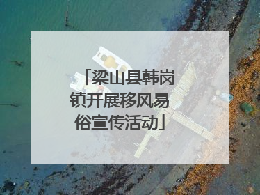 梁山县韩岗镇开展移风易俗宣传活动