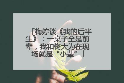 梅婷谈《我的后半生》：一桌子全是前辈，我和佟大为在现场就是“小辈”