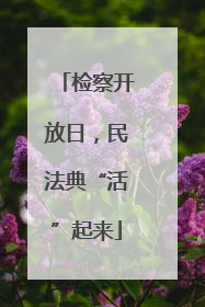 检察开放日，民法典“活”起来