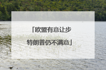 欧盟有意让步 特朗普仍不满意