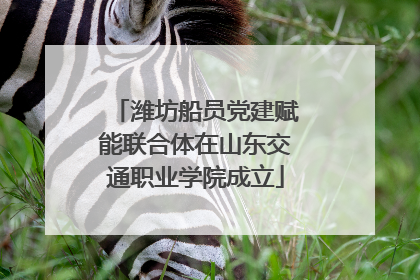 潍坊船员党建赋能联合体在山东交通职业学院成立
