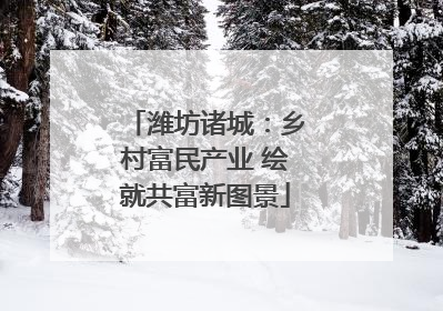潍坊诸城：乡村富民产业 绘就共富新图景