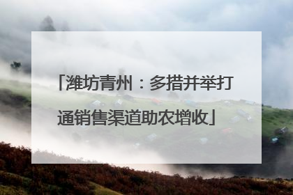 潍坊青州：多措并举打通销售渠道助农增收