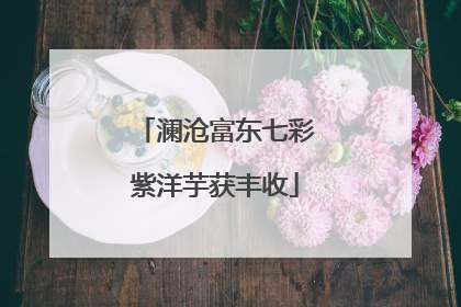 澜沧富东七彩紫洋芋获丰收