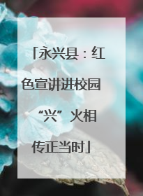 永兴县：红色宣讲进校园 “兴”火相传正当时