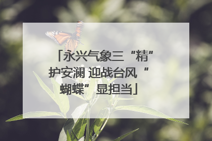 永兴气象三“精”护安澜 迎战台风“蝴蝶”显担当
