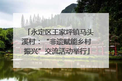 永定区王家坪镇马头溪村：“非遗赋能乡村振兴”交流活动举行