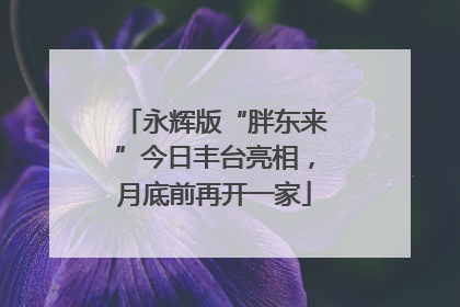 永辉版“胖东来”今日丰台亮相，月底前再开一家