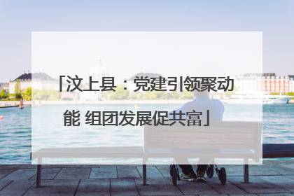 汶上县：党建引领聚动能 组团发展促共富