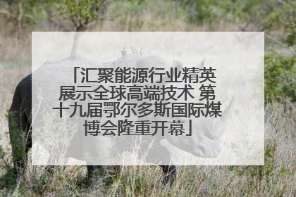 汇聚能源行业精英 展示全球高端技术 第十九届鄂尔多斯国际煤博会隆重开幕