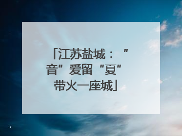 江苏盐城：“音”爱留“夏” 带火一座城