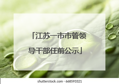 江苏一市市管领导干部任前公示