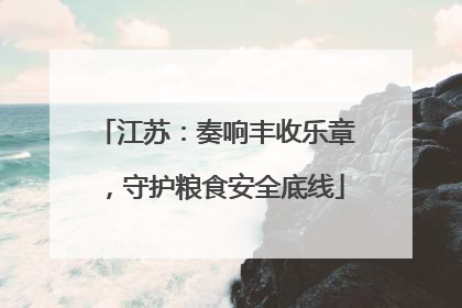 江苏：奏响丰收乐章，守护粮食安全底线