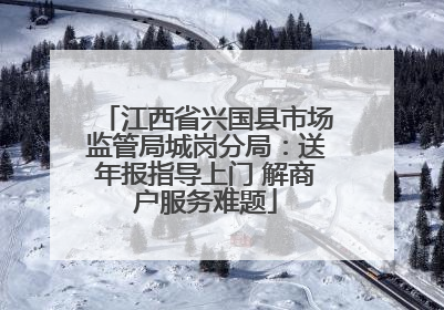 江西省兴国县市场监管局城岗分局：送年报指导上门 解商户服务难题