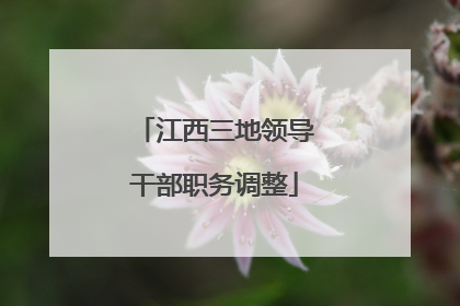 江西三地领导干部职务调整