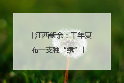 江西新余：千年夏布一支独“绣”