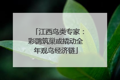 江西鸟类专家：彩鹮筑巢或撬动全年观鸟经济链