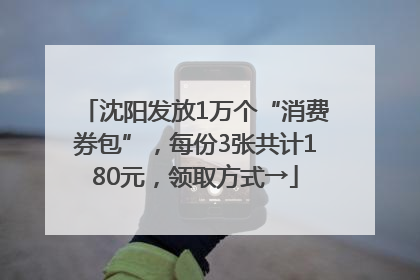 沈阳发放1万个“消费券包”，每份3张共计180元，领取方式→
