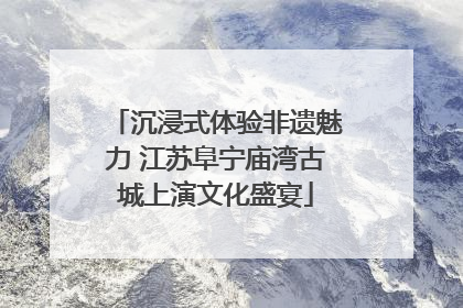 沉浸式体验非遗魅力 江苏阜宁庙湾古城上演文化盛宴