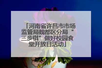 河南省许昌市市场监管局魏都区分局“三步棋”做好校园食堂开放日活动
