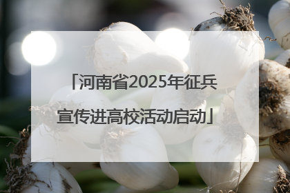 河南省2025年征兵宣传进高校活动启动