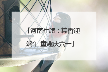 河南社旗：粽香迎端午 童趣庆六一