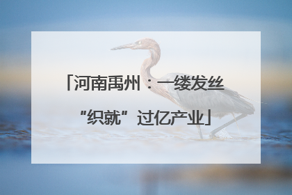 河南禹州：一缕发丝“织就”过亿产业