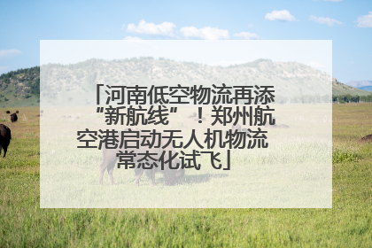 河南低空物流再添“新航线”！郑州航空港启动无人机物流常态化试飞