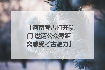 河南考古打开院门 邀请公众零距离感受考古魅力
