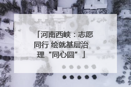河南西峡：志愿同行 绘就基层治理“同心圆”