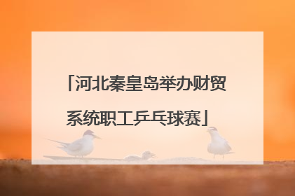 河北秦皇岛举办财贸系统职工乒乓球赛