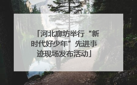 河北廊坊举行“新时代好少年”先进事迹现场发布活动