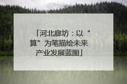 河北廊坊：以“算”为笔描绘未来产业发展蓝图