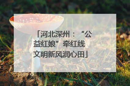河北深州：“公益红娘”牵红线 文明新风润心田