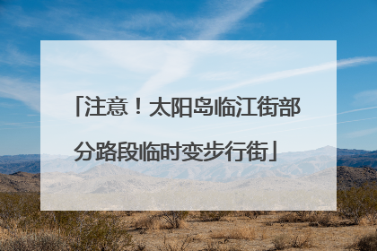 注意！太阳岛临江街部分路段临时变步行街