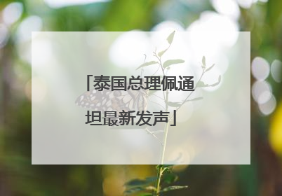泰国总理佩通坦最新发声