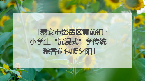 泰安市岱岳区黄前镇：小学生“沉浸式”学传统 粽香荷包暖夕阳