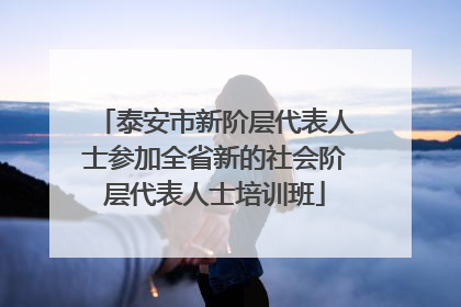 泰安市新阶层代表人士参加全省新的社会阶层代表人士培训班