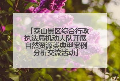 泰山景区综合行政执法局机动大队开展自然资源类典型案例分析交流活动