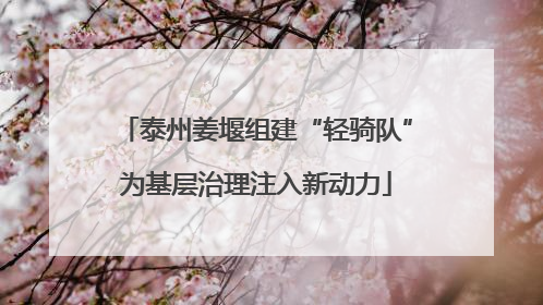 泰州姜堰组建“轻骑队”为基层治理注入新动力