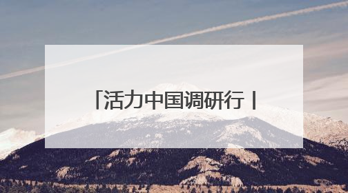 活力中国调研行丨“石家庄味道”是如何制造出来的